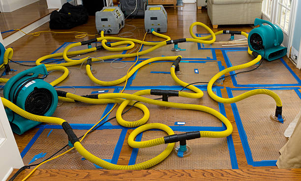 Professional Water Damage Repair technician working in Beaverton, AL